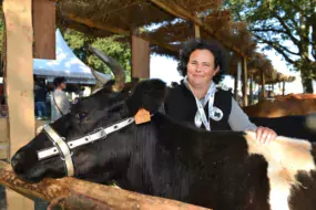 Églantine Touchais transforme 15 000 L de lait de Bretonne Pie Noir.