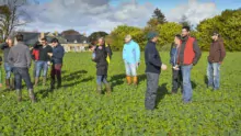 Une quinzaine d'agriculteurs ont visité la parcelle d'essai de David Christien (en rouge), mardi 13 novembre. La visite était organisée par le Gab et par Lorient Agglomération (BV du Scorff).