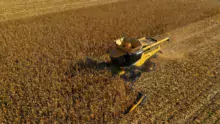 lexion-claas-record