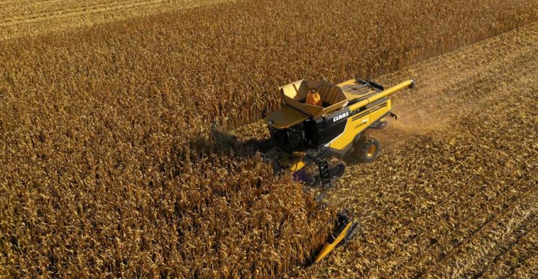 Un Agriculteur établit Deux Nouveaux Records Mondiaux De Récolte De Maïs Journal Paysan Breton