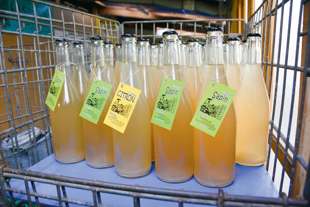 La Grobul’ Factory propose deux saveurs de limonade : au citron ou au sapin. La fabrication se réalise dans une ancienne menuiserie, à Mellionnec (22). - Illustration Le sapin pique aussi en limonade
