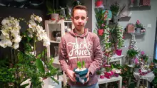 En décembre, Nolann Hany était en stage à la boutique Rosabelle à Châteaubourg (35). Le jeune passionné qui apprécie les périodes passées chez les professionnels prépare un CAP fleuriste en deux ans.