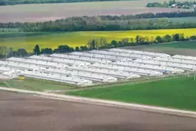 Les sites d’élevage de 16 poulaillers de 120 m de long sur 14 m de large sont très développés en Ukraine. © MHP