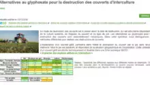 glyphosate-site