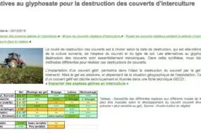 glyphosate-site