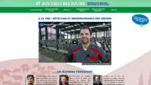 site-boiterie-bovin