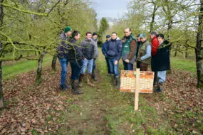 Rencontre technique dans un verger du Gaec de Villerault planté en 1986. Une belle longévité.