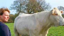 Caroline Le Bodic, agricultrice à Theix-Noyalo (56)