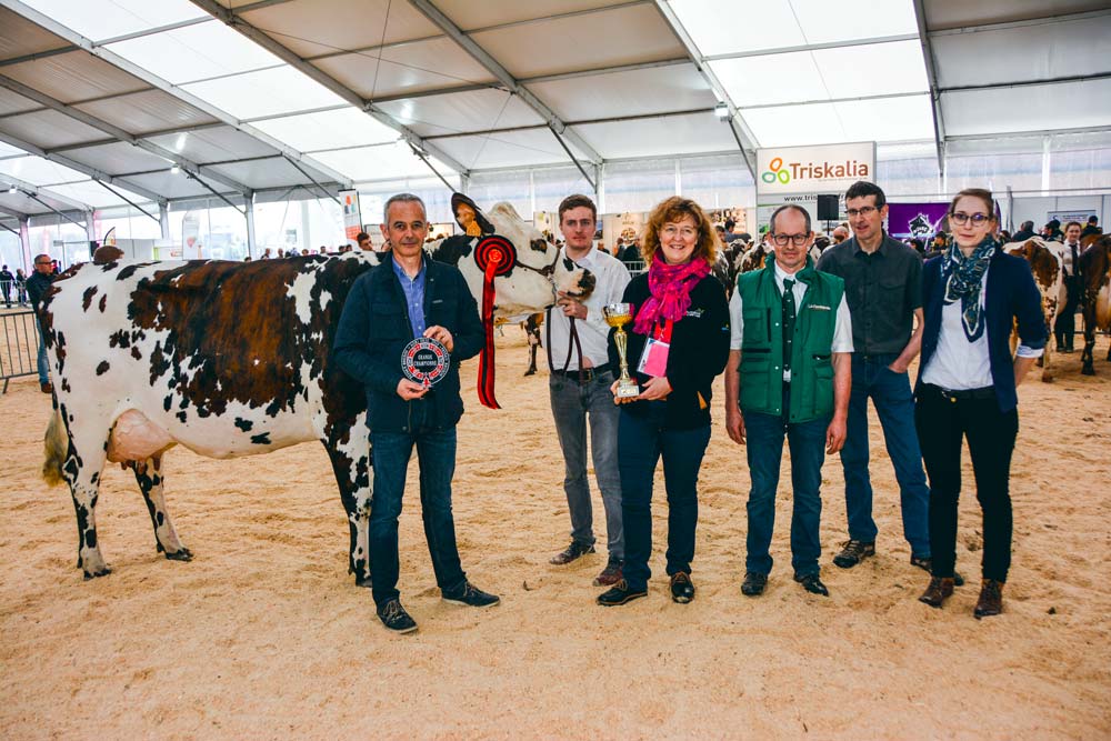 Helisa championne du concours Normande, lors de la remise de prix par Didier Le Du, directeur du journal Paysan Breton. - Illustration Normande à Agrideiz : Helisa fait la différence