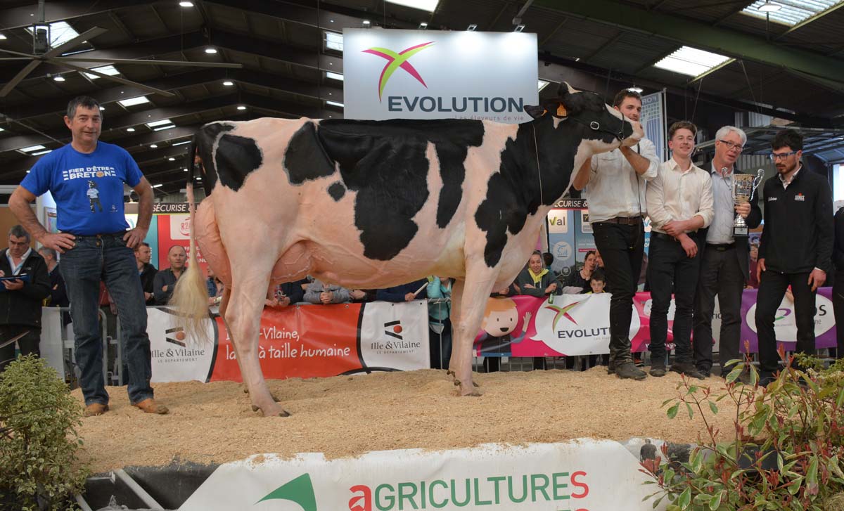  - Illustration Foire de Rennes : Heureuse gagnante du Régional Prim’Holstein