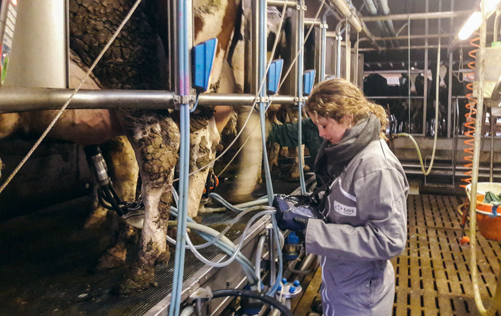 Le « Test pendant la traite » est réalisé sur une dizaine de vaches par un conseiller spécialiste à l’aide d’un appareil spécifique, le « Pulsographe PT 5. - Illustration Un outil pour expertiser la qualité de la traite