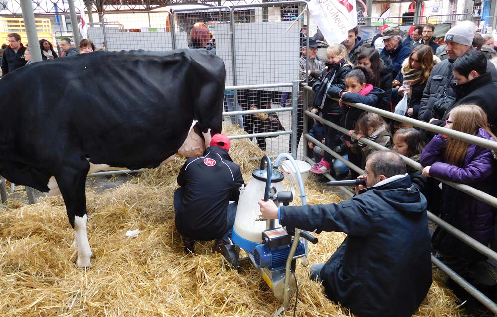  - Illustration Ferme en Ville, une échappée campagnarde à Saint-Brieuc