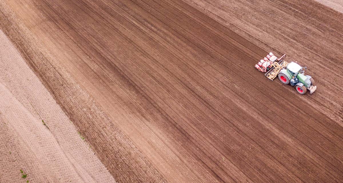  - Illustration Des surfaces en hausse pour le maïs, le tournesol et records en soja