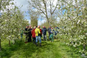 Benoît Bancel recevait un groupe de producteurs le 24 avril sur son verger de 31 hectares, conduit à faibles doses d'intrants, par rapport aux moyennes.