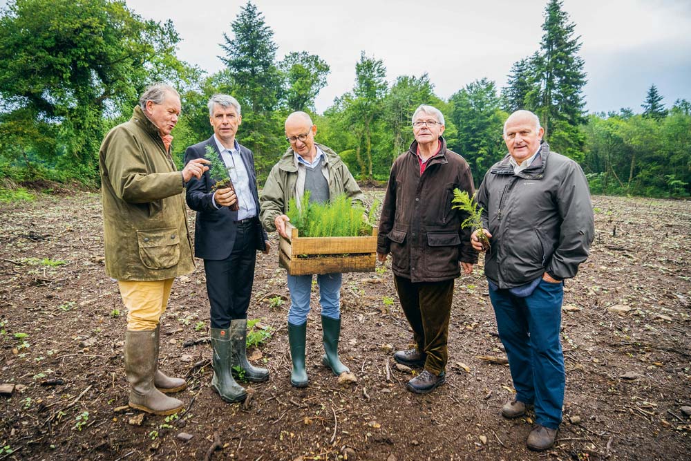  - Illustration Le dispositif Breiz forêt bois se simplifie