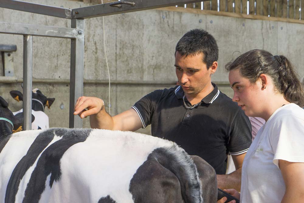  - Illustration Les futurs champions de la tonte à Ploërmel