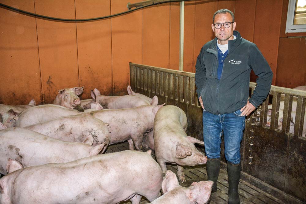  - Illustration Le porc charcutier s’adapte au marché