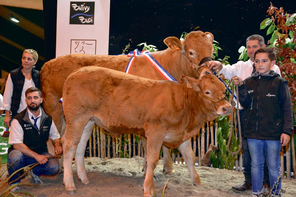  - Illustration Des inter-régionaux de haut niveau à Ohhh la Vache