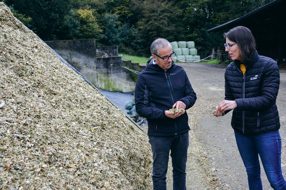  - Illustration Maïs : Le grain denté farineux produit plus de lait à l’hectare