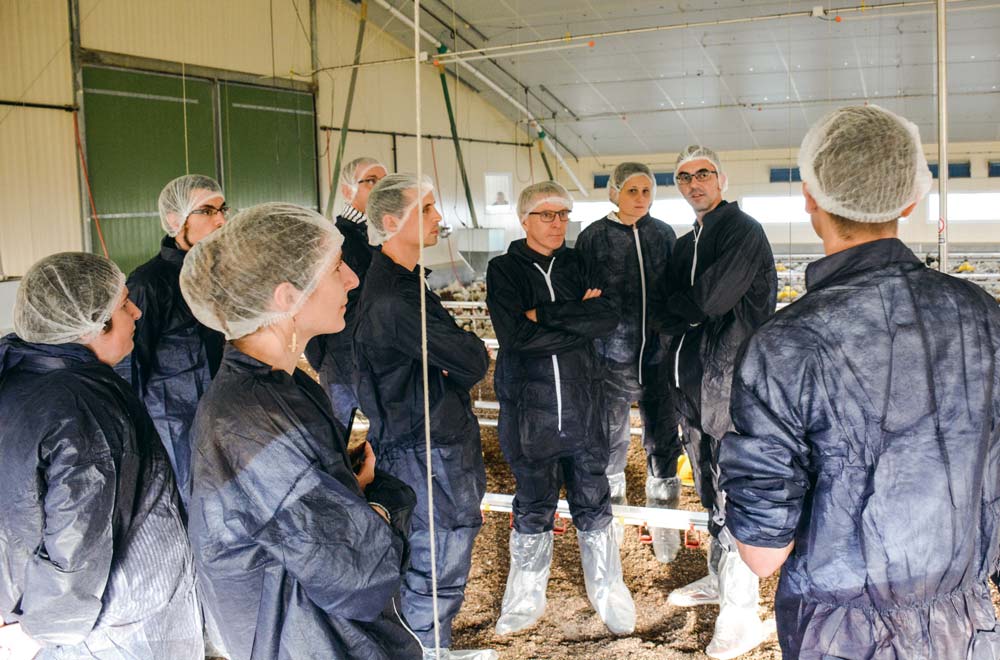  - Illustration Faire découvrir la volaille bretonne aux acheteurs