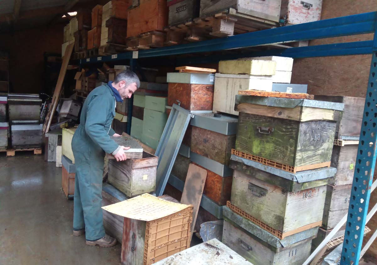  - Illustration Pendant l’hivernage des ruches, que font les apiculteurs ?