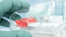 viande in vitro