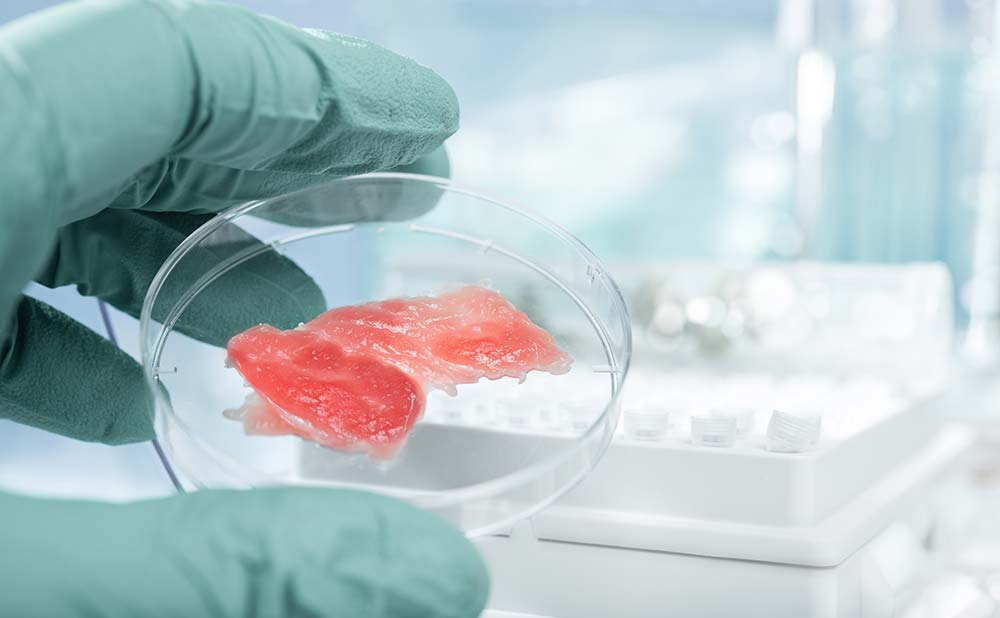 viande in vitro - Illustration Levée de fonds record pour une start-up de viande in vitro