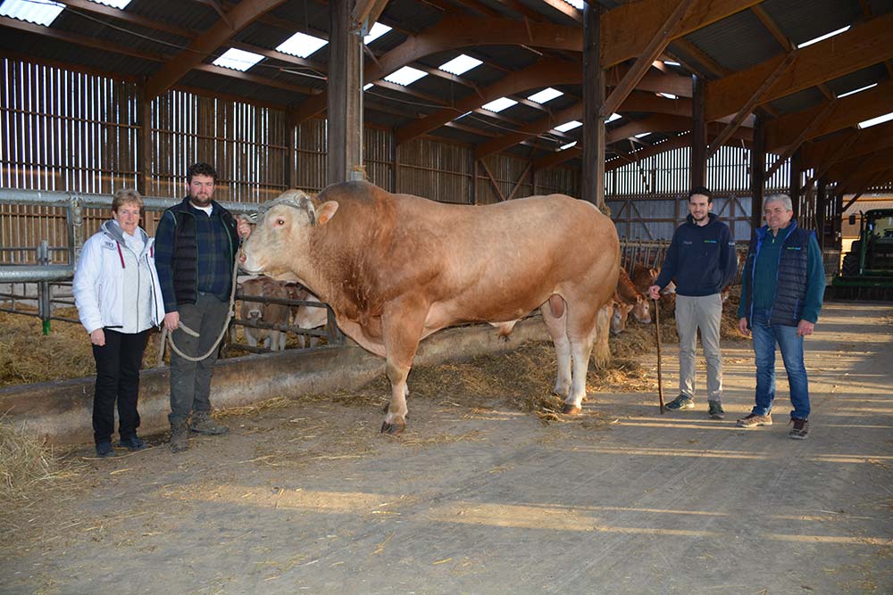  - Illustration Salon de l’Agriculture : Malinois du Gaec de Traou-Hoat en lice à Paris