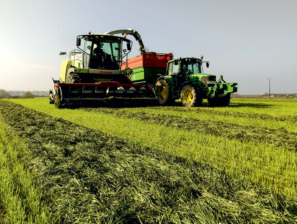  - Illustration Ensilage d’herbe : Des solutions pour améliorer la conservation