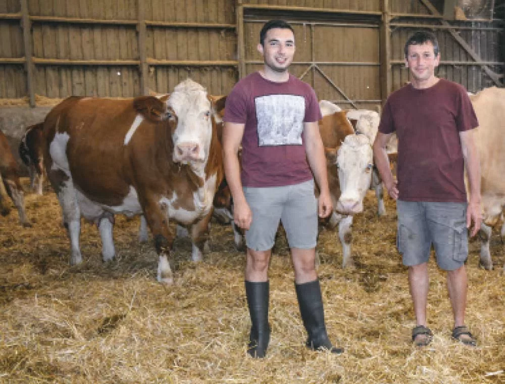 Sans Titre 1 - Illustration En Simmental, une seule race pour deux ateliers