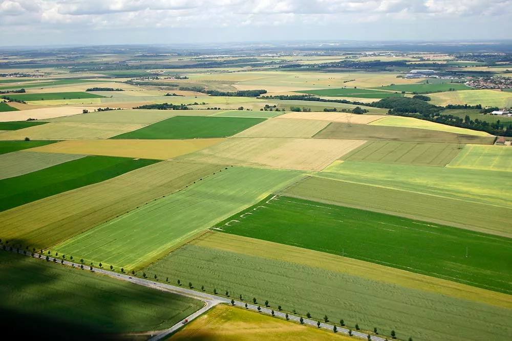 dd8857.hr - Illustration Régulation de l’accès au foncier agricole : quelles nouveautés législatives ?