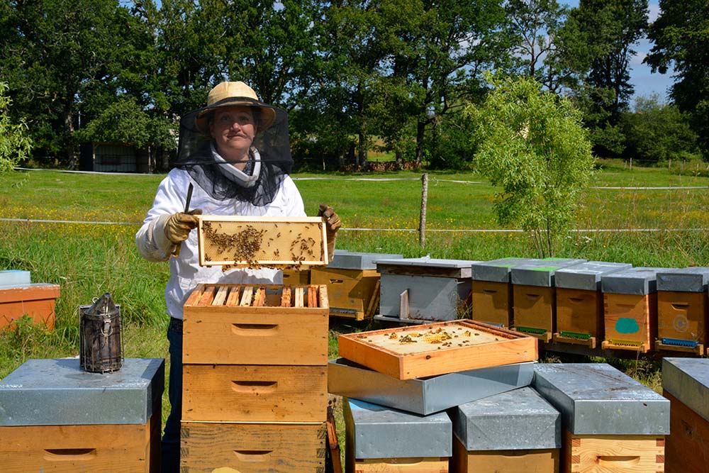 a9302 - Illustration Apiculture : Une installation progressive