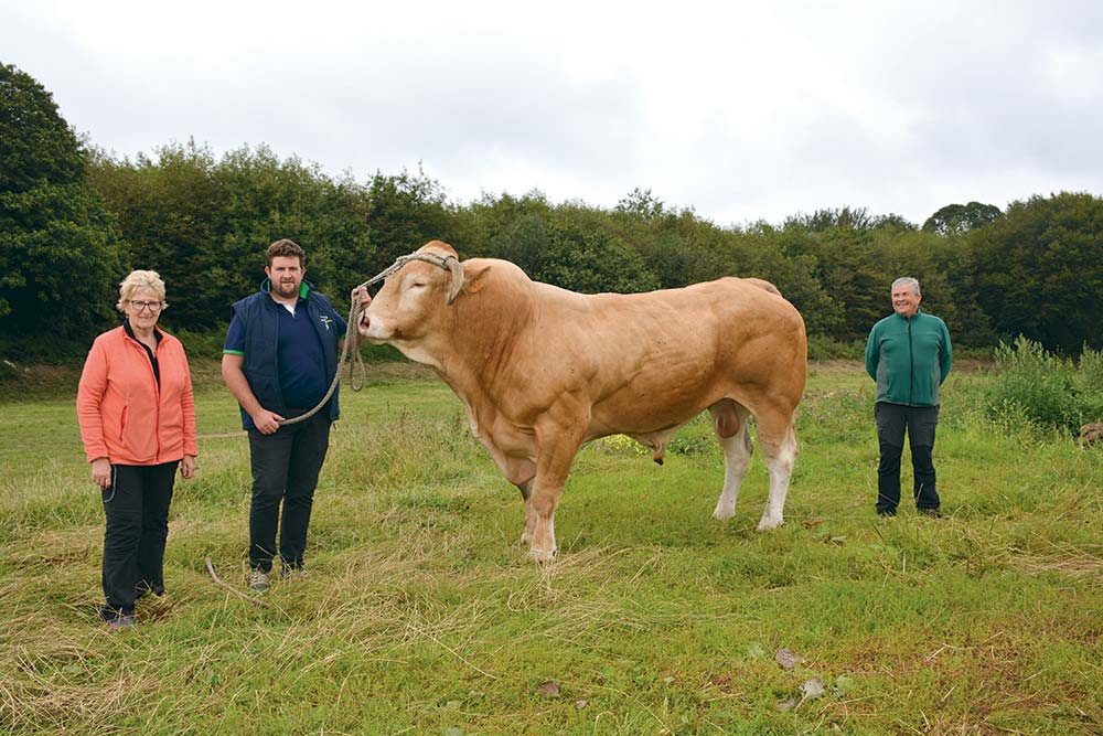 9477.hr - Illustration Blonde d’Aquitaine : Markel, un concurrent de taille au Space