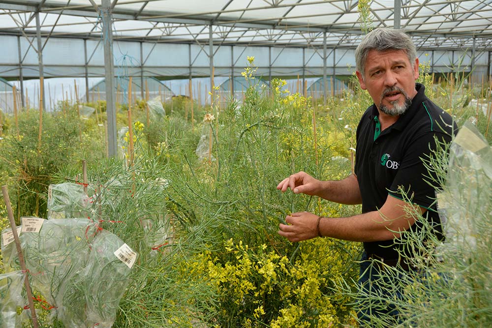 12490.hr - Illustration L’agroécologie dans les gènes