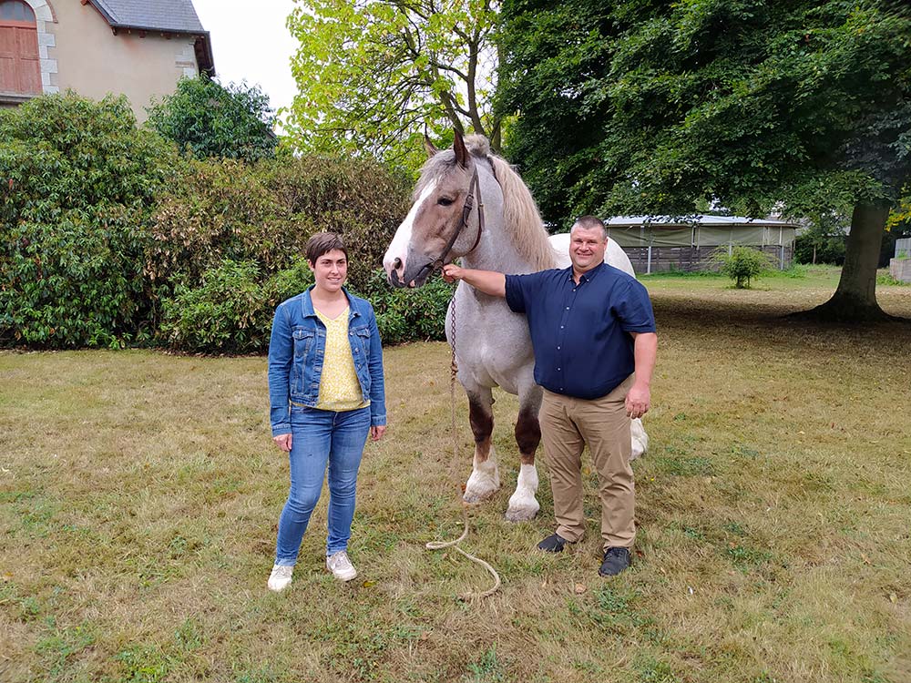  - Illustration Le Cheval Breton s’est donné rendez-vous  à Lamballe