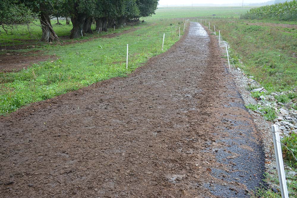  - Illustration Un chemin bitumé au Gaec de Kervihan, à Pluméliau