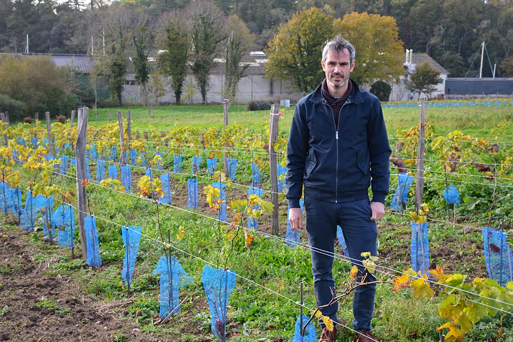  - Illustration Les vignerons se forment à Auray