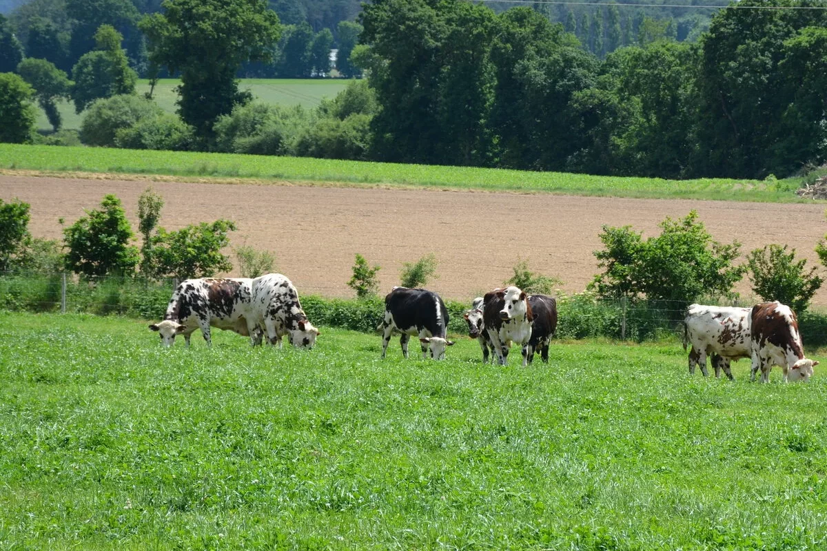 16370.hr - Illustration S’engager dans une démarche d’entreprise durable