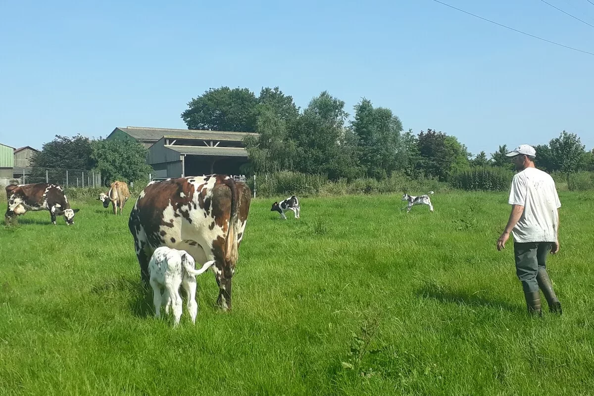 16549.hr - Illustration Tarir quand la pousse d’herbe estivale baisse