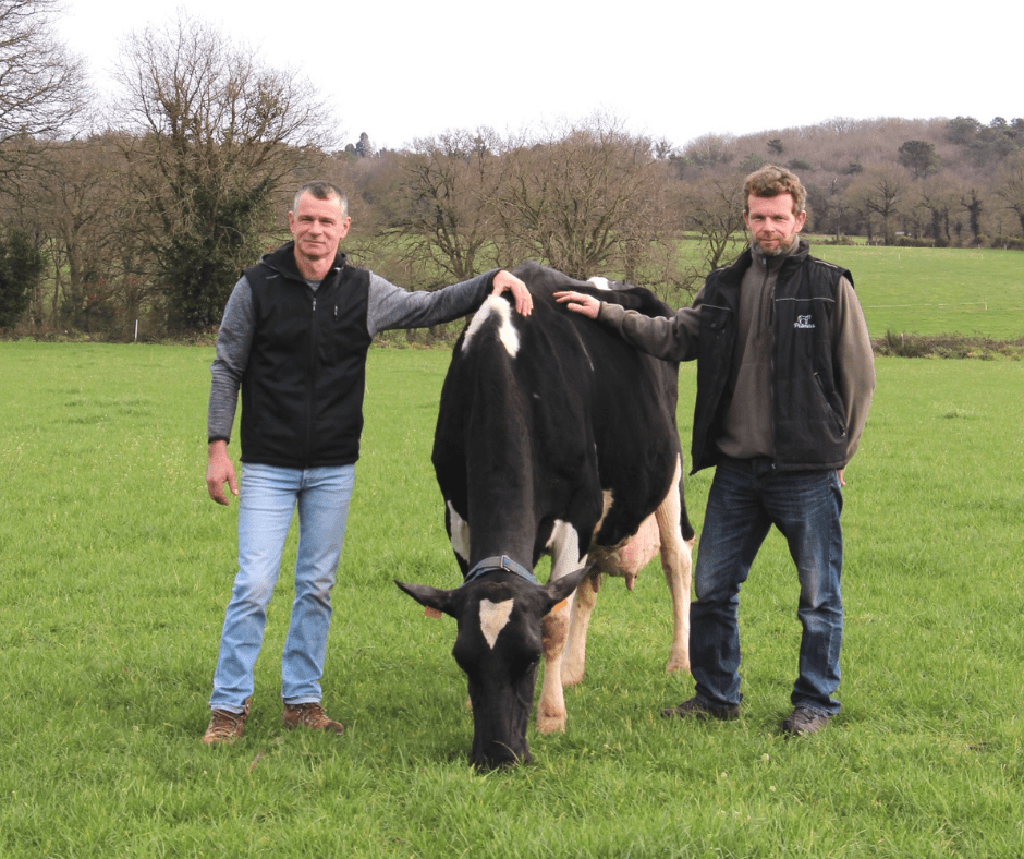 design sans titre - Illustration Prim’Holstein Morbihan met la longévité à l’honneur