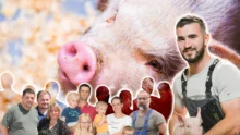 De nouveaux visages en porc