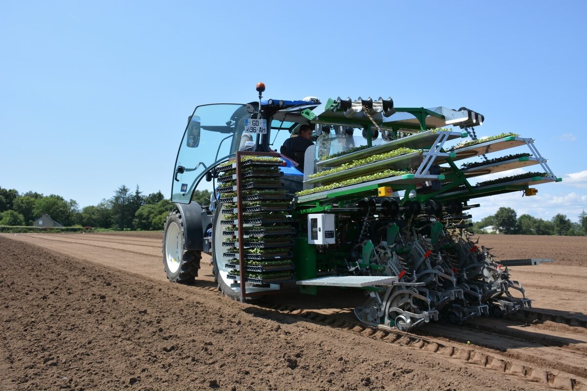 16804.hr - Illustration Une planteuse automatique en test sur brocolis