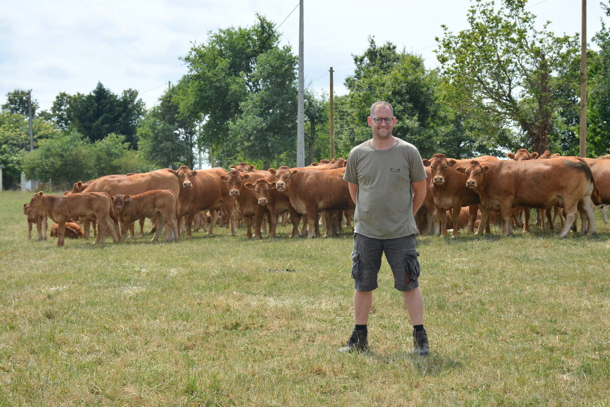 16598.hr - Illustration Moins d’animaux improductifs sur la ferme