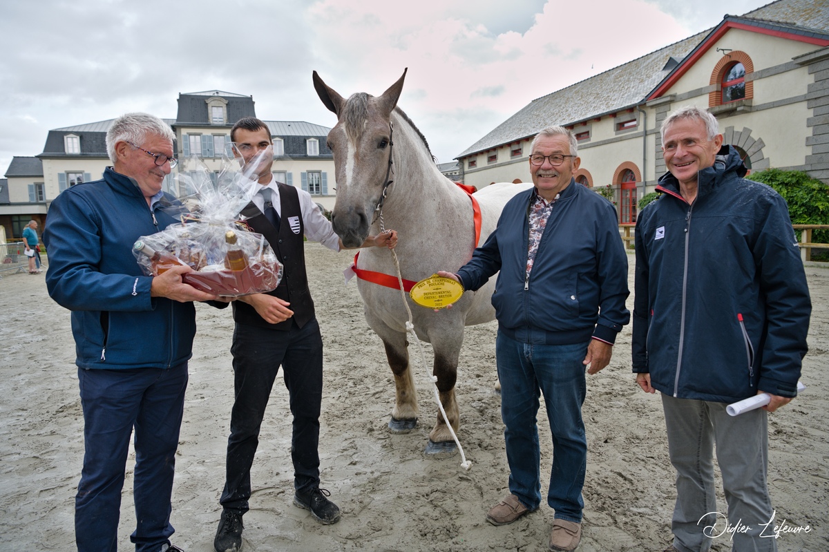 17189.hr - Illustration Emballant concours du Cheval breton