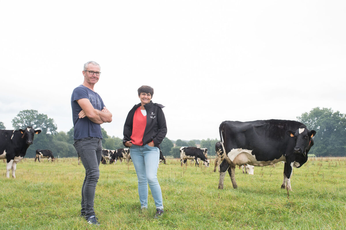 17270.hr - Illustration L’herbe fraîche est la carotte pour attirer les vaches au robot