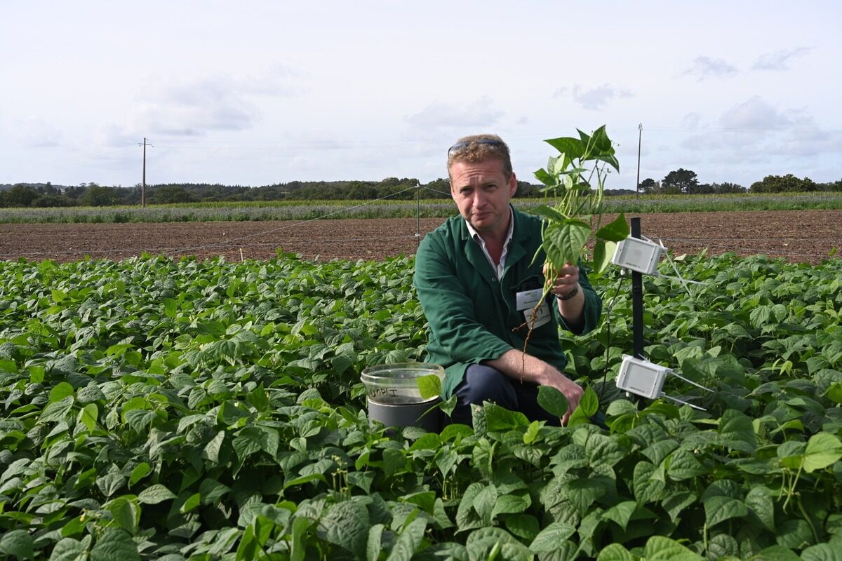 17476.hr - Illustration Unilet : Pour des légumes plus verts