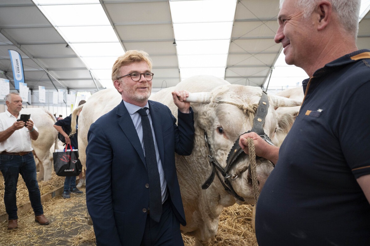 17692.hr - Illustration Un « plan de reconquête » pour l’élevage