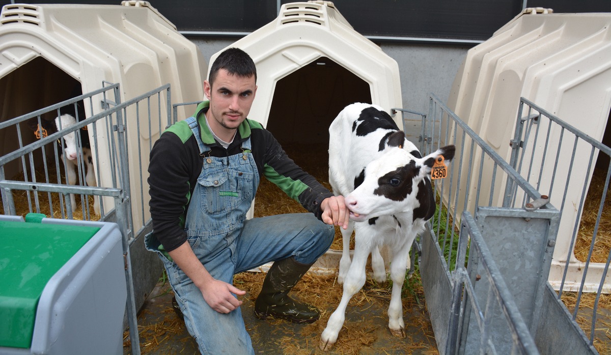 18064 hr - Illustration Vêlage précoce et 32 kg de lait au pic pour les primipares