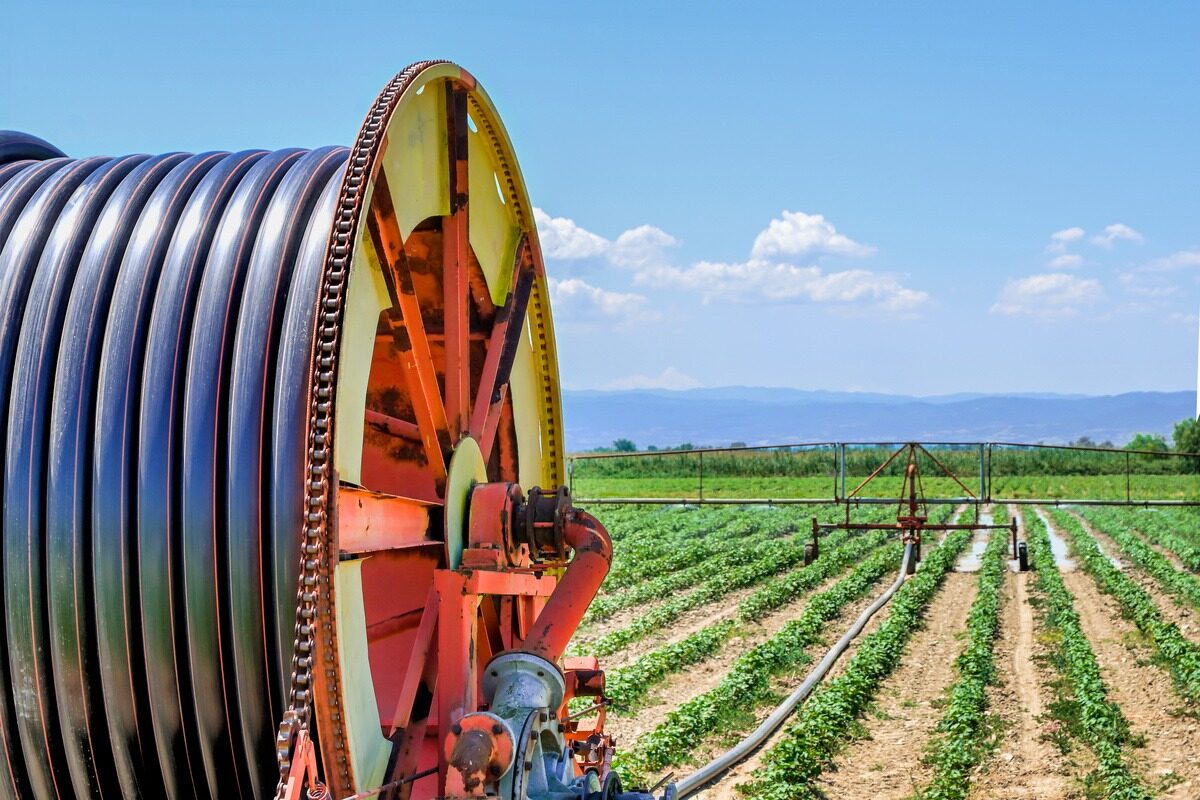 18091.hr - Illustration USA : un géant agricole qui court à sa perte