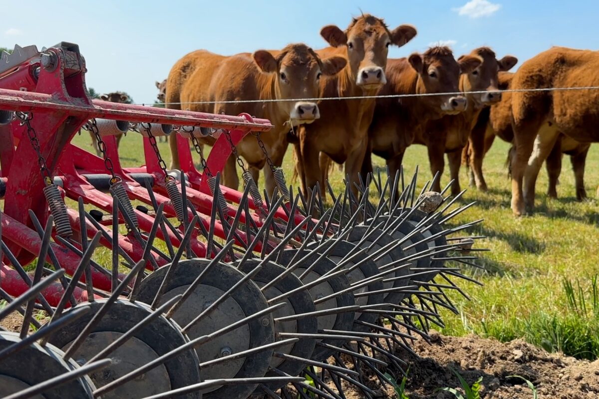 miniature roto étrille - Illustration Cap vers la transition agroécologique avec Agri’Invest